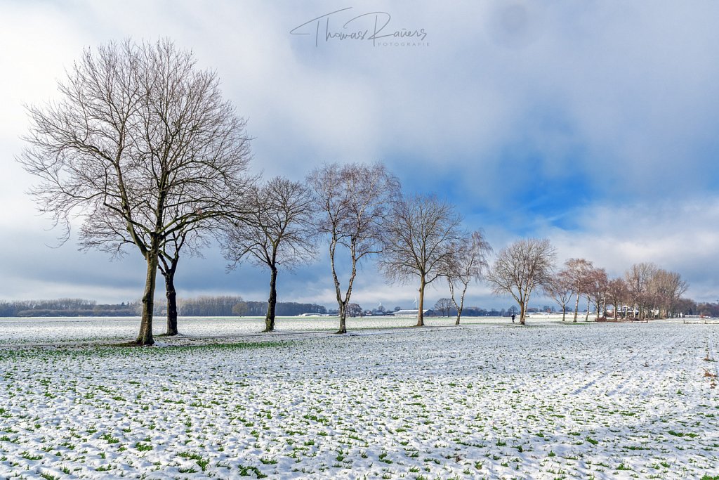 Niederrhein Winter